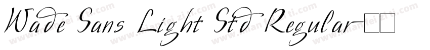 Wade Sans Light Std Regular字体转换